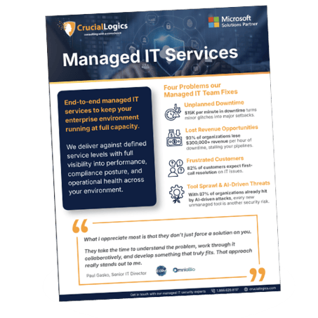 Enterprise Managed IT Services Mock Up