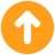 Up Arrow Icon