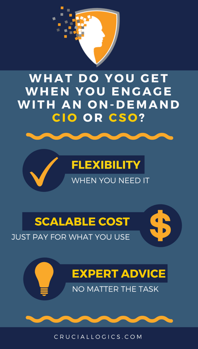 What do you get when you engage with an On-Demand CIO or CSO?